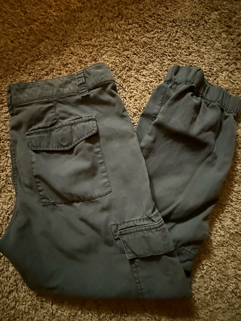 Loft women’s Cargo Pants